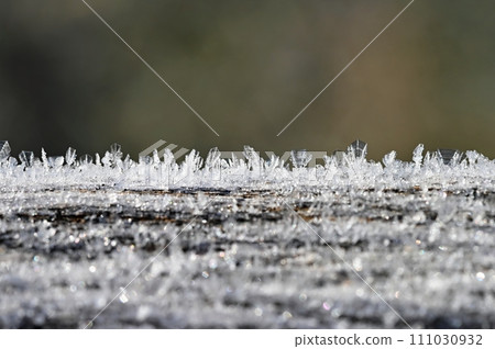 Beautiful frost in nature. Frosty morning in winter - low temperature. 111030932