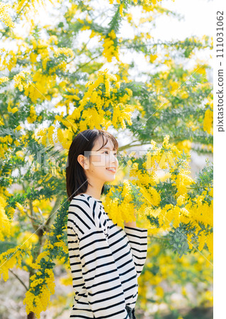 Mimosa and young woman Mimosa and young woman 111031062