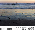 Shonan sea at sunset 111031095