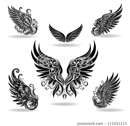 Collection of vector wings the style of engraving 111031213