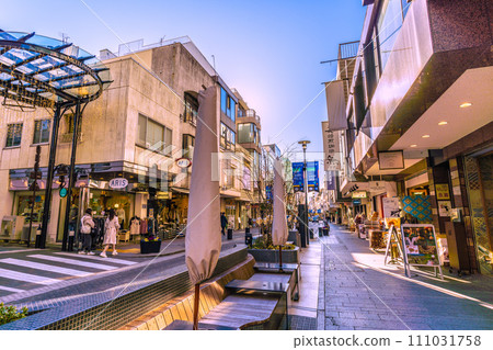 Yokohama cityscape in Japan View of Yokohama's popular shopping street, Motomachi, etc. Yokohama cityscape in Japan View of Yokohama's popular shopping street, Motomachi, etc. 111031758