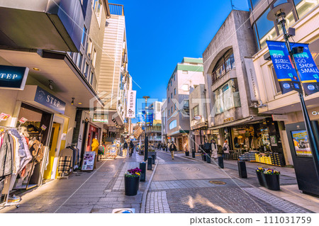 Yokohama cityscape in Japan View of Yokohama's popular shopping street, Motomachi, etc. 111031759
