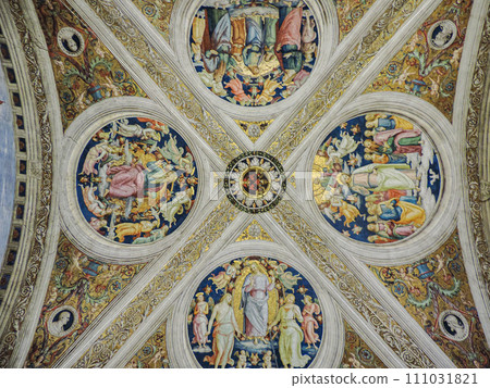 view of vatican city 111031821