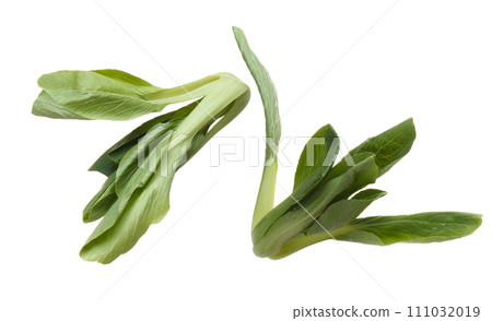 Kale fly in mid air, green fresh vegetable chinese kale falling. Organic fresh vegetable with eaten leaf of chinese kale, heap close up texture. White background isolated freeze motion Kale fly in mid air, green fresh vegetable chinese kale falling. Organic fresh vegetable with eaten leaf of chinese kale, heap close up texture. White background isolated freeze motion 111032019