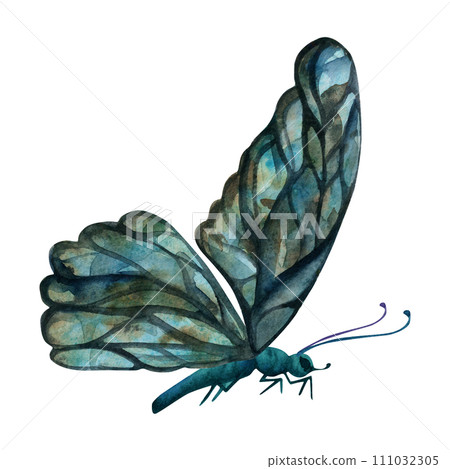 Hand drawn watercolor illustration butterfly fairy wings gem crystal insect moth. Single object isolated on white background. Design print, shop, wedding, birthday 111032305