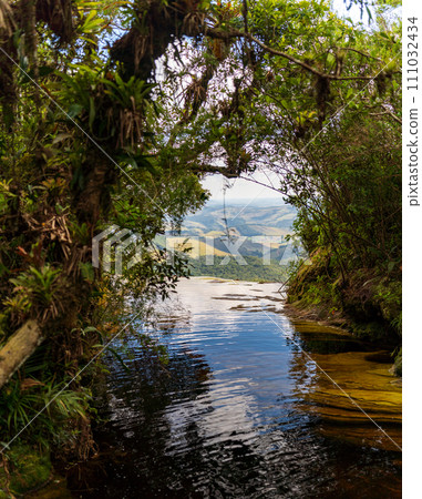 Tranquil Waters Nestled Within Lush Green Forest Vista 111032434