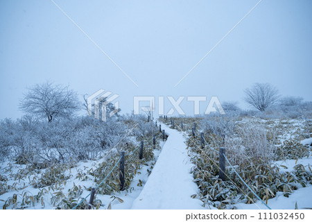雪域高原木棧道 111032450