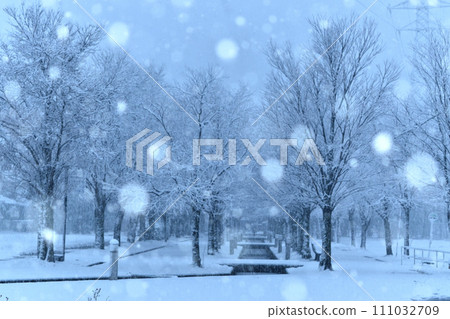 Snowfall park 111032709