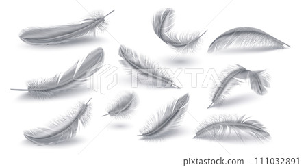 Silver feathers realistic vector illustration collection Silver feathers realistic vector illustration collection 111032891