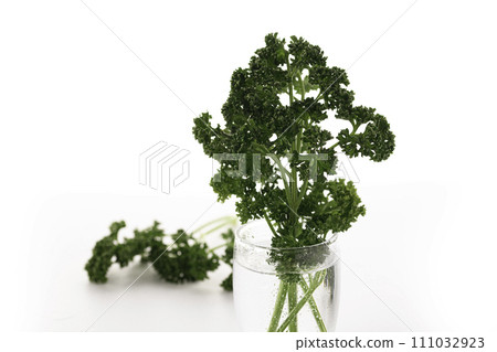 Parsley Parsley 111032923