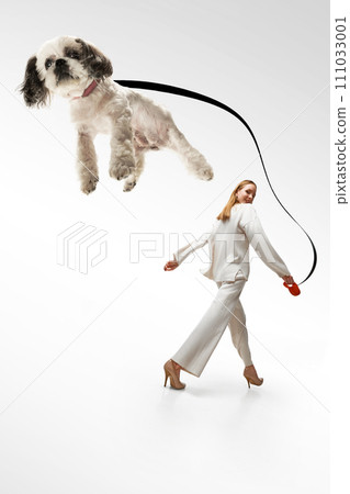 Woman dressed smart casual glamour outfit and walking with her purebred dog and he flying on leash in motion against white studio background. Woman dressed smart casual glamour outfit and walking with her purebred dog and he flying on leash in motion against white studio background. 111033001