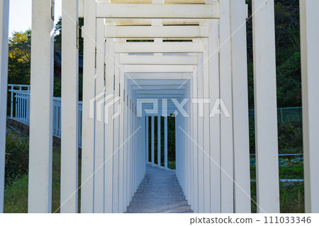 Scenery of Senbon Torii at Saitoji Temple 111033346