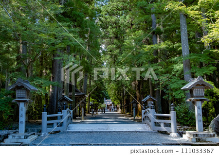 神社周圍綠樹環繞 神社周圍綠樹環繞 111033367