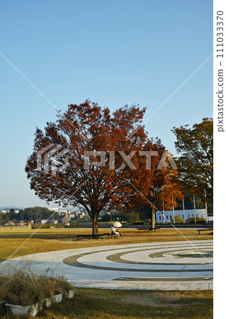 秋葉Zelkova 秋葉Zelkova 111033370