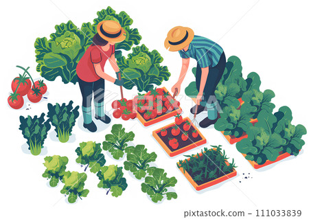 兩個年輕人在農場工作。蔬菜有很多-1 111033839