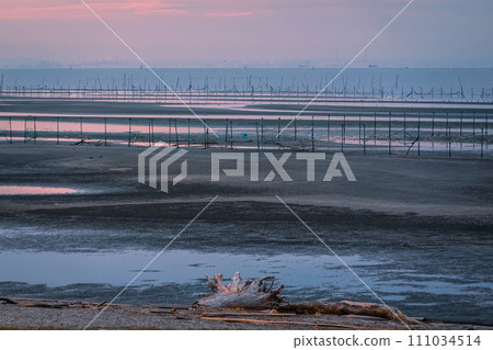 黎明退潮,船橋三番瀨海濱公園灘塗(千葉縣船橋市) 黎明退潮,船橋三番瀨海濱公園灘塗(千葉縣船橋市) 111034514