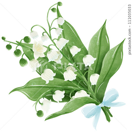 A bouquet of lilies of the valley, tied with a blue ribbon.  Hand Drawn Watercolor illustration of spring flowers  111035033