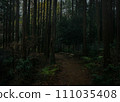 Fantastic misty forest path 111035408