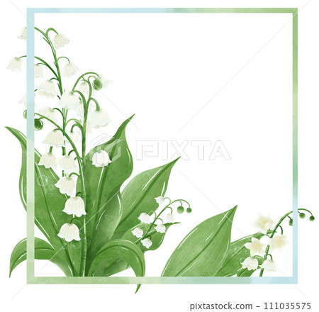 lilies of the valley frame wreath Hand Drawn Watercolor illustration of spring flowers botanical drawing postcards, invitations to weddings, birthdays, spring and summer 111035575