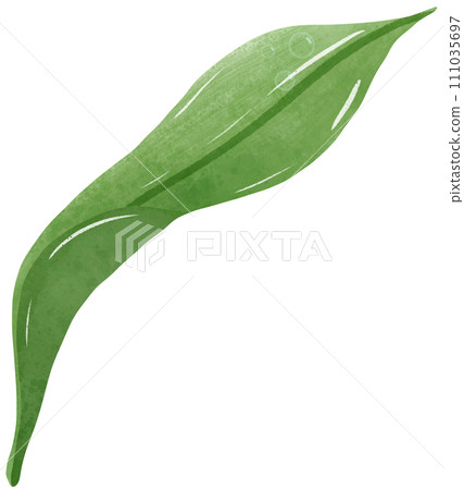 green leave with drop of water Hand Drawn Watercolor illustration of spring flowers botanical drawing postcards, invitations to weddings, birthdays, spring and summer 111035697