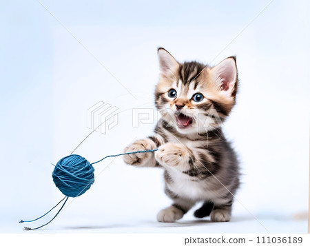 Kitten looking happy 111036189