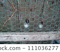 Two dial padlocks 111036277