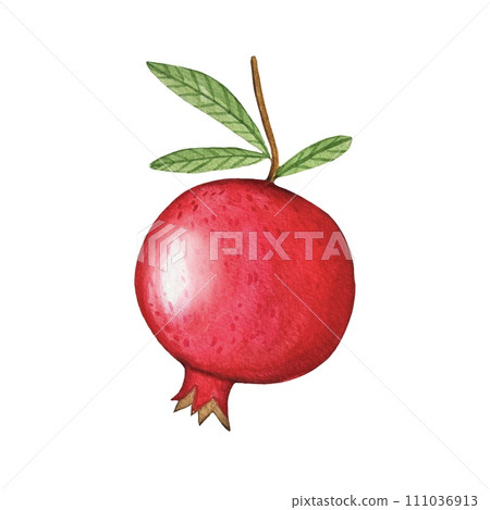 Hand drawn ripe pomegranate, watercolor illustration Hand drawn ripe pomegranate, watercolor illustration 111036913