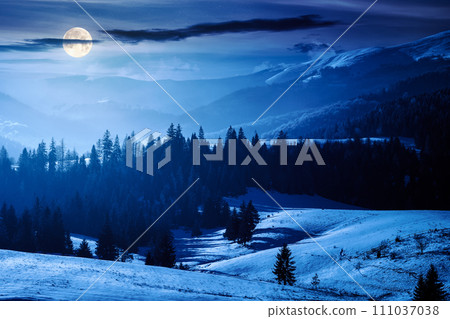countryside winter scenery in carpathian mountains at night. landscape with forested snow covered hills in full moon light. podobovec, ukraine countryside winter scenery in carpathian mountains at night. landscape with forested snow covered hills in full moon light. podobovec, ukraine 111037038