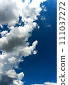 Saiun Summer Clouds (Nagano) 111037272