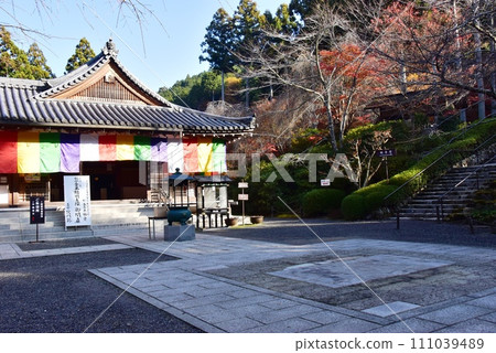 Kyoto City: Golden Fudo-do Hall and autumn leaves at Ohara Sanzen-in Temple 111039489