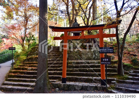 Benzaiten and autumn leaves at Ohara Sanzen-in Temple, Kyoto City Benzaiten and autumn leaves at Ohara Sanzen-in Temple, Kyoto City 111039490