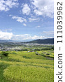 Obasute Rice Terrace Scenery (Chikuma City, Nagano Prefecture) 111039962