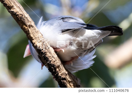 從下面看波分町 111040676