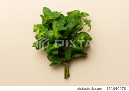 Mint leaf. Fresh mint on Colored background. Mint leaves isolated Top view with copy space Mint leaf. Fresh mint on Colored background. Mint leaves isolated Top view with copy space 111040978
