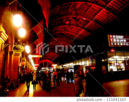 Copenhagen Central Station at night, Denmark 111041163