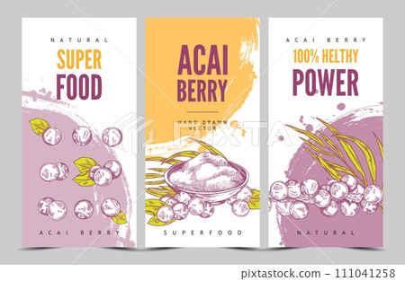 Acai berries and leaves on vector flyers template, fresh berries with foliage, engraved hand drawn healthy superfood 111041258