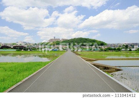 Rice fields along the Hayabuchi River Rice fields along the Hayabuchi River 111041412