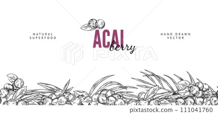 Seamless pattern border with Acai berries and leaves, fresh black berries with foliage, vector engraved hand drawn fruit Seamless pattern border with Acai berries and leaves, fresh black berries with foliage, vector engraved hand drawn fruit 111041760