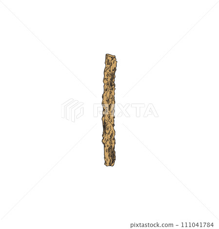 Single branch of acai palm hand drawn sketch style vector illustration isolated. Single branch of acai palm hand drawn sketch style vector illustration isolated. 111041784