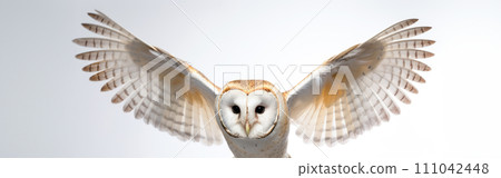 AI-generated content. Close up of the barn owl in flight, against the light, selective focus on white background 111042448