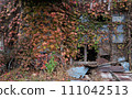 Autumn leaves tangle with abandoned houses and bicycles 111042513