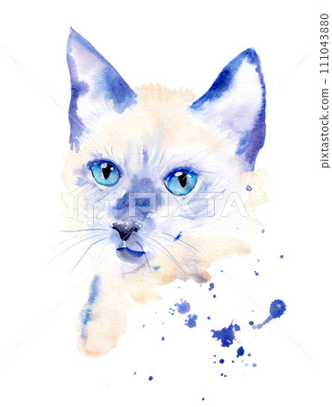 watercolor drawing of a cat drawn by hand - Siamese. paint drips watercolor drawing of a cat drawn by hand - Siamese. paint drips 111043880