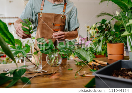 Close up of young beard man's hands pours water into a glass vase. Experienced florist with monstera leaves against an interior backdrop of plant pots 111044154