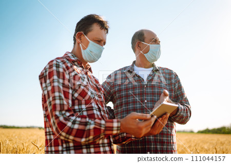 Farmers in sterile medical mask using digital tablet in field of wheat. Harvesting concept. 111044157
