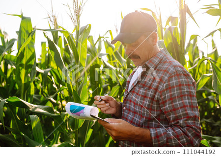 Farmer standing in corn field examining crop. Harvest care concept. Farmer standing in corn field examining crop. Harvest care concept. 111044192