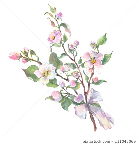 Watercolor apple tree branch and flowers bouquet with white bow, blooming tree on white background, isolated watercolor illustration. It's perfect for wedding cards, mothers day and valentines card. 111045069