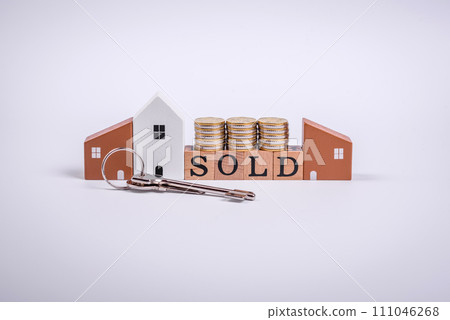 The inscription Sold made of wooden cubes on a plain background The inscription Sold made of wooden cubes on a plain background 111046268