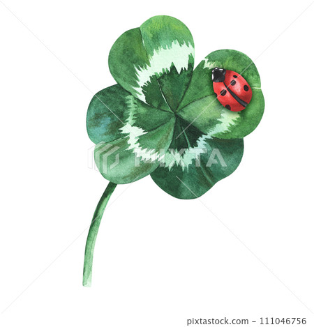 Four-leaf clover with ladybug on it. Watercolor illustration isolated on white background. Saint St Patrick Day good luck symbol. For decoration, flyers, design 111046756