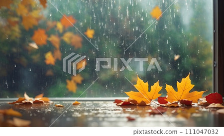 Autumn leaves lying on the surface on a blurred background of falling rain. Space for text. Autumn leaves lying on the surface on a blurred background of falling rain. Space for text. 111047032