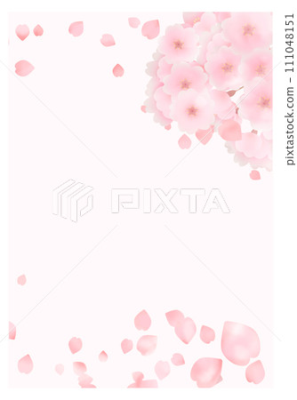 Cherry blossom and petal frame, background illustration 111048151
